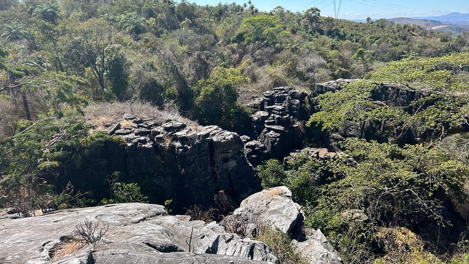 Fendas e lajes de pedra cobertas por vegetação nativa