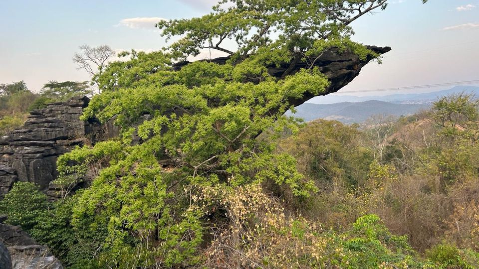 Trilha entre formações rochosas com árvore e vista para as montanhas ao entardecer